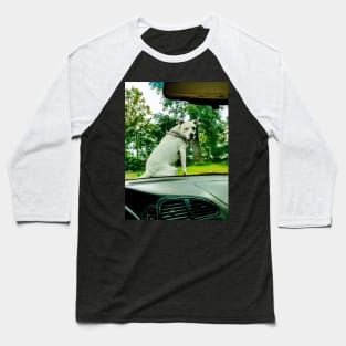 Lilly on car Baseball T-Shirt